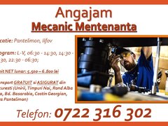 Mecanic mentenanta