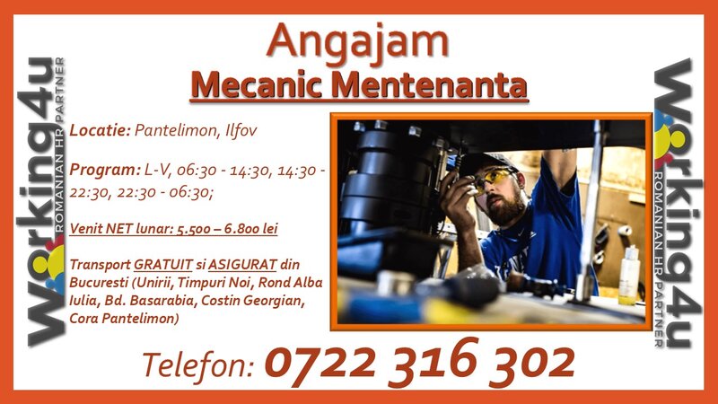 Mecanic mentenanta