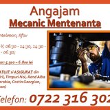 Mecanic mentenanta